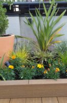 Cómo elegir las plantas adecuadas para tu jardín